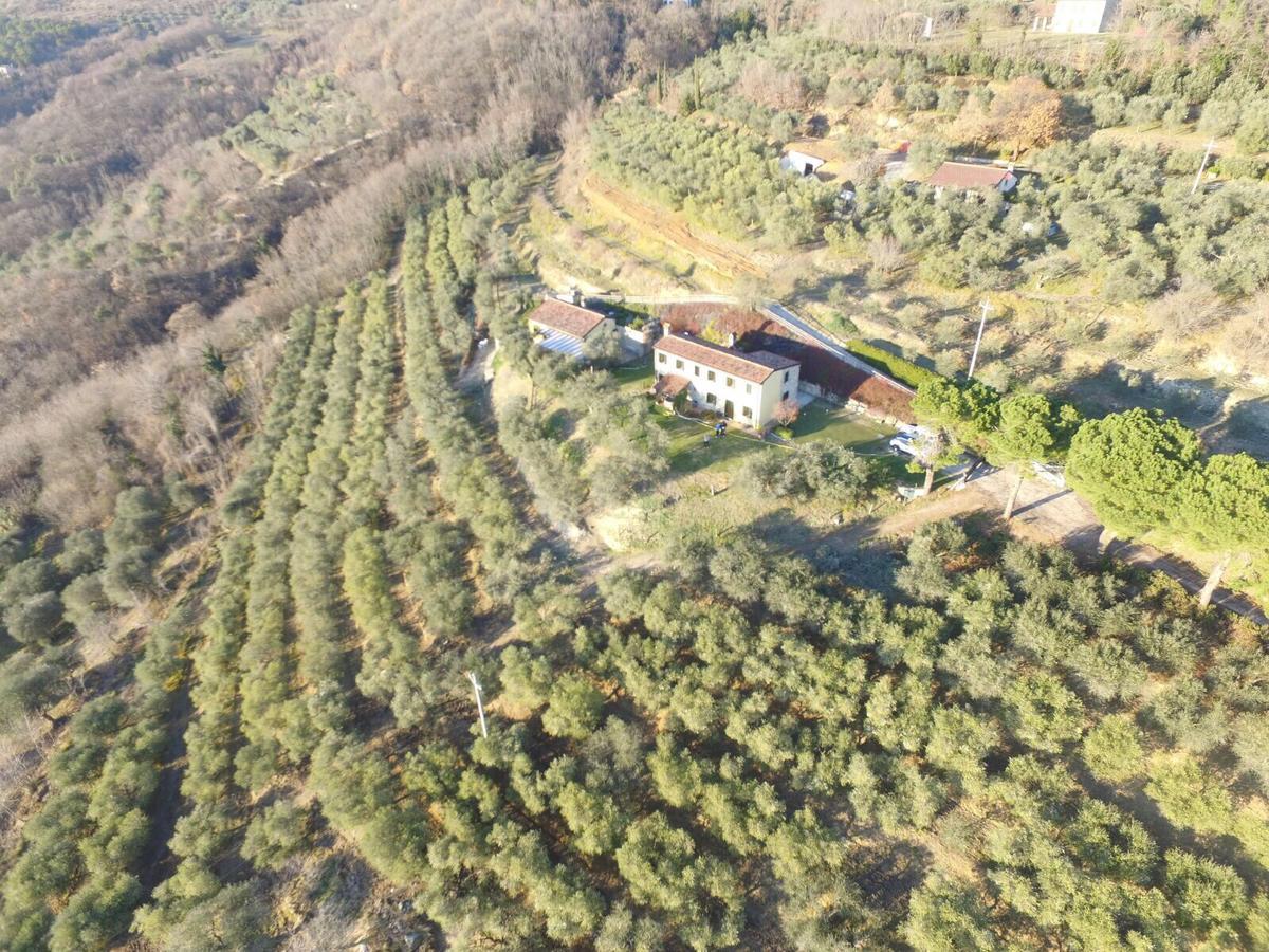 Holiday House Petrarca Arqua Petrarca Exteriér fotografie